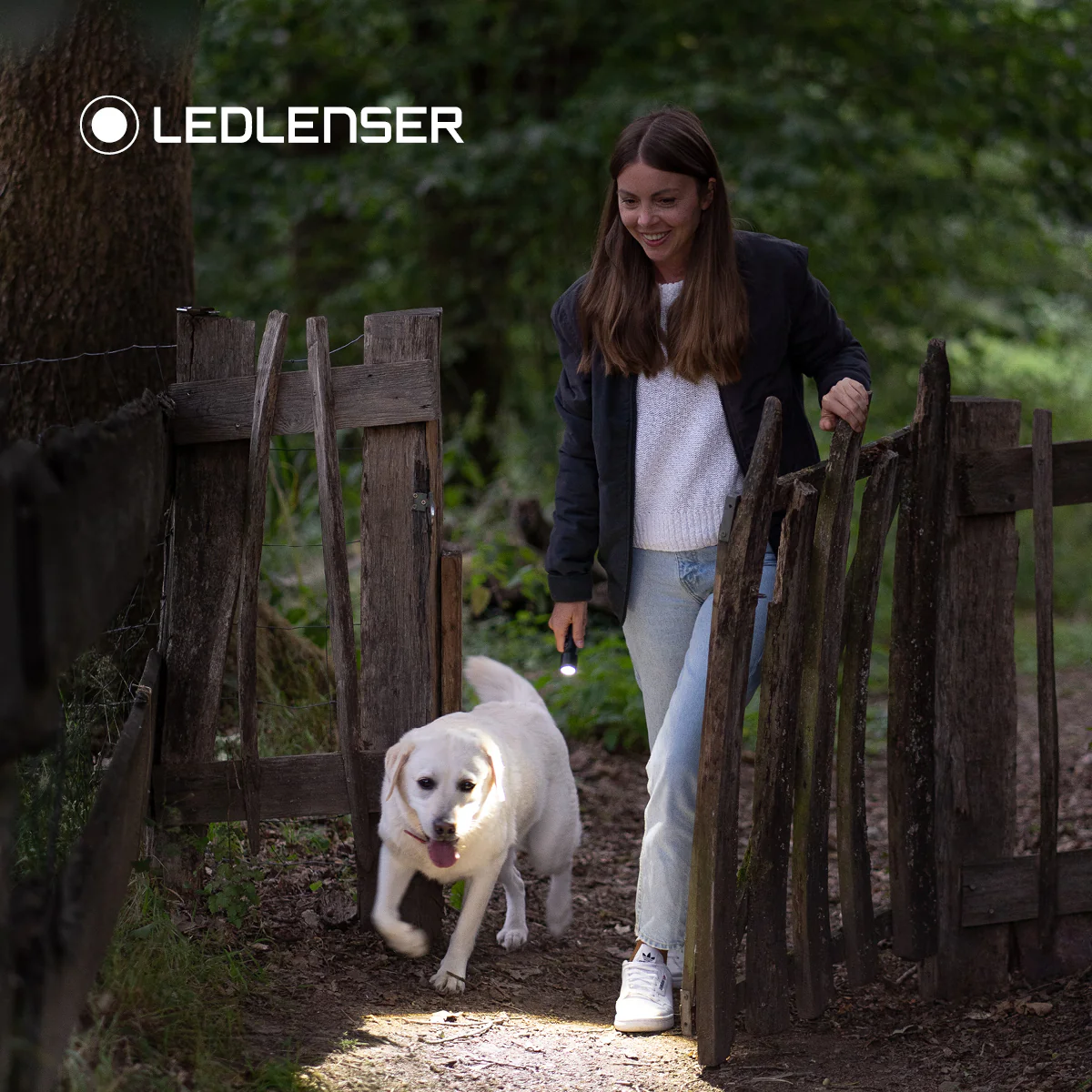 P6R Core Rechargeable Torch 2020, 900 Lumens - Image 5